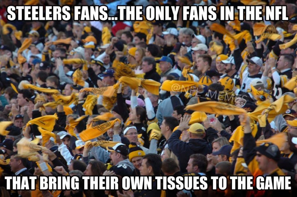 Pittsburgh Steelers fans meme